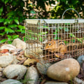 How can you prevent future wildlife infestations?